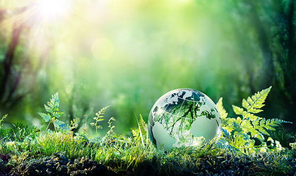 How is Manufacturing Tackling Sustainability?