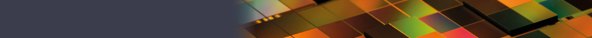 EVG Banner 2
