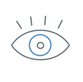 About Principles Vision Icon