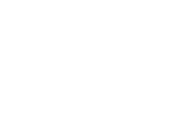 ic-es